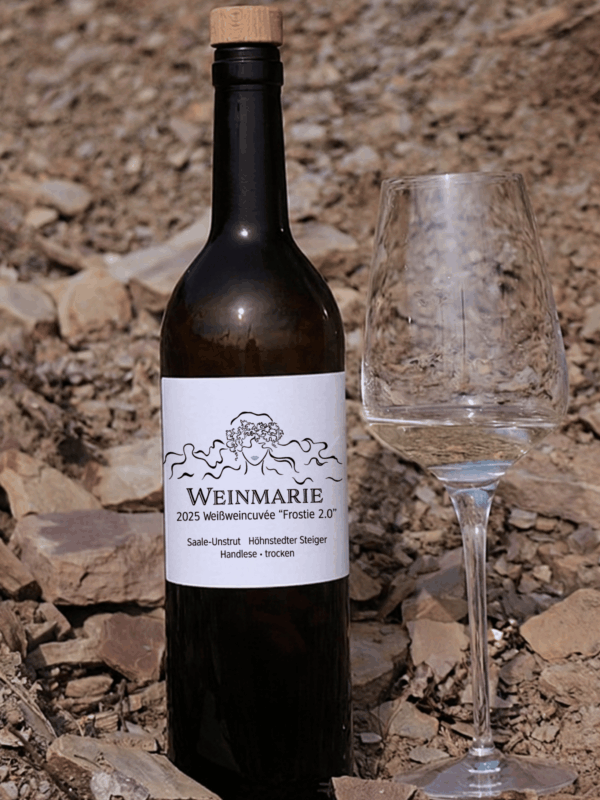 2025 Weißweincuvée Frostie 2.0